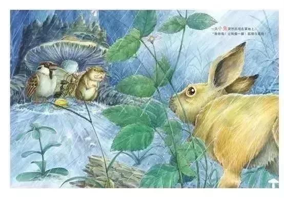 【羽佳读者专属定制】中国原创绘本节日礼品装，六一节前大放送