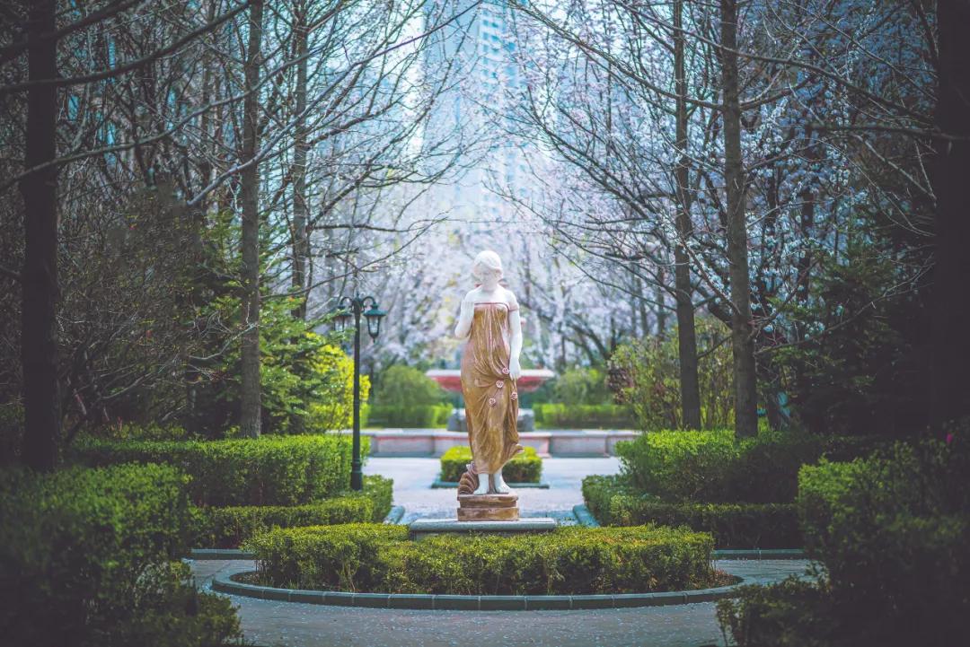 九洲楼盘质量如何,九洲房地产评估