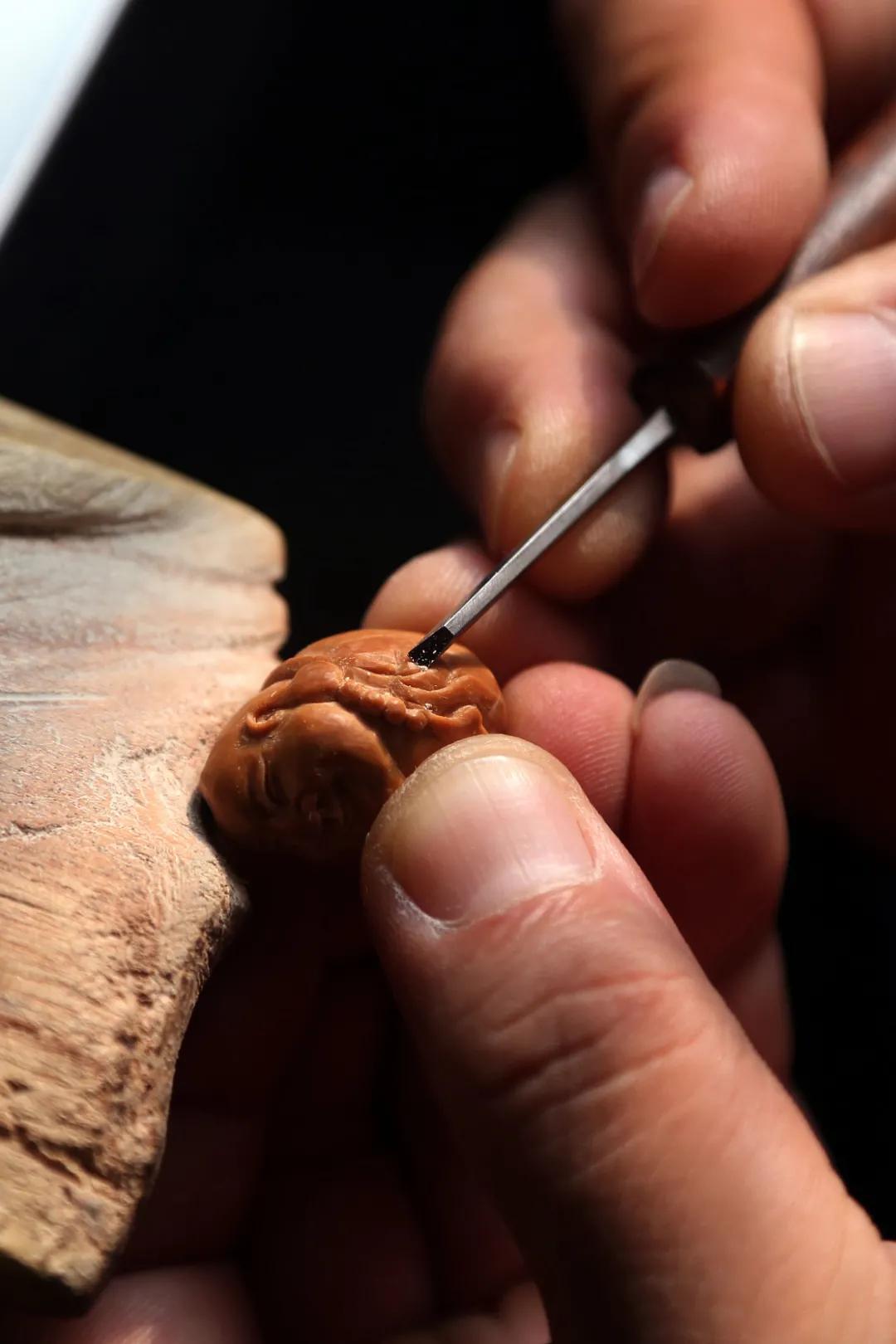 潮汕人从小吃到大的油柑,潮汕特有油柑