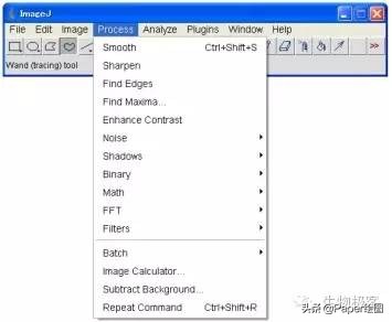 黄色和绿色如何用imagej分析,imagej图像分析教程