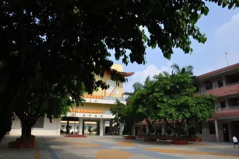 广州白云区民办幼升小排名一览表,公办幼升小学校排名一览表