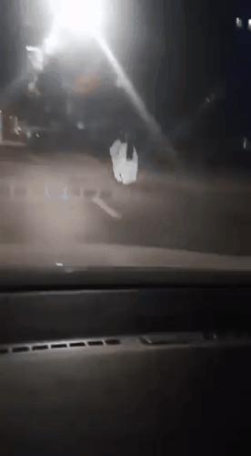 给你70万,拿一百万没有手机你愿意吗