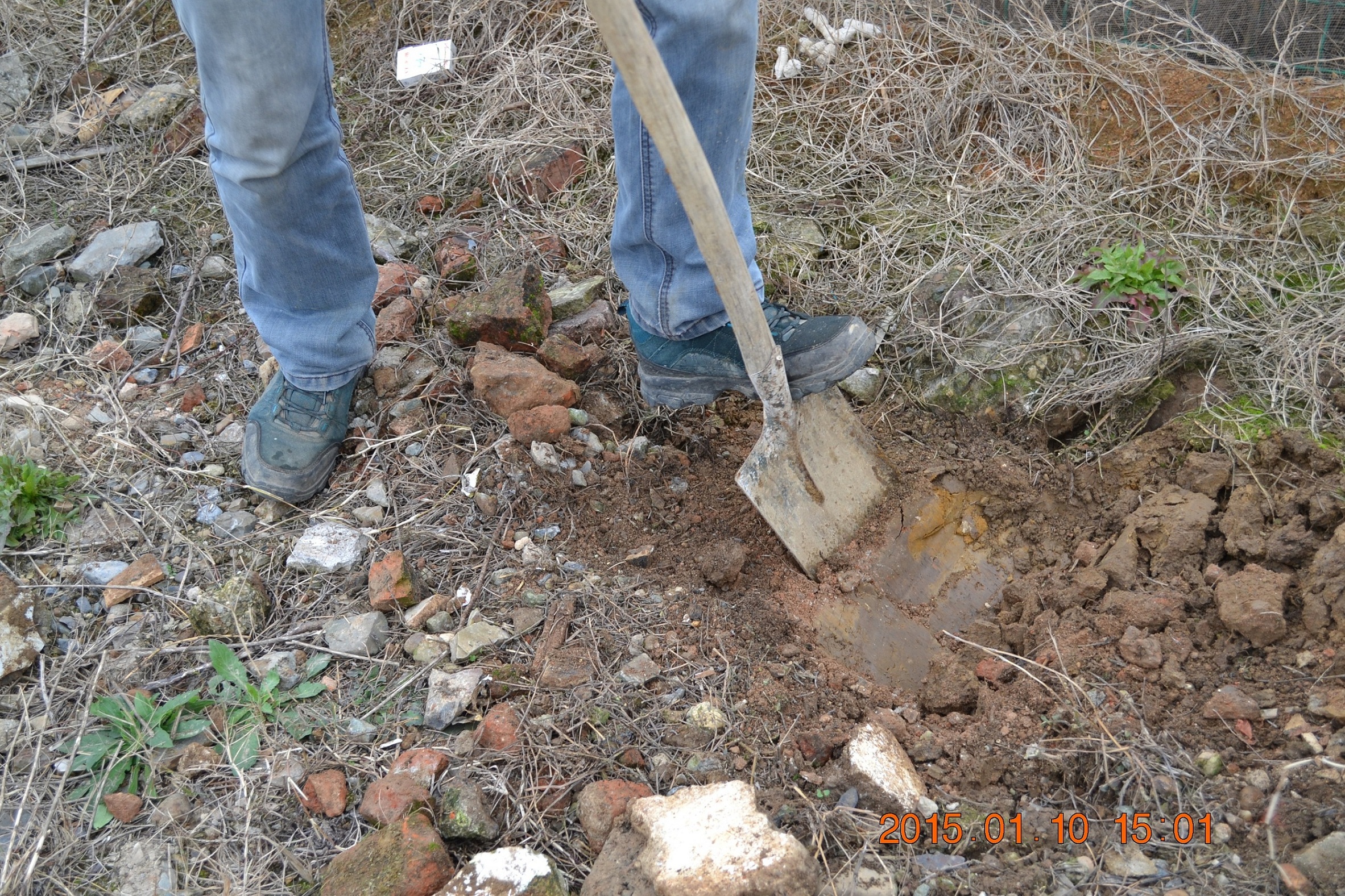 湖南最好的锦鲤养殖基地,湘潭锦鲤养殖
