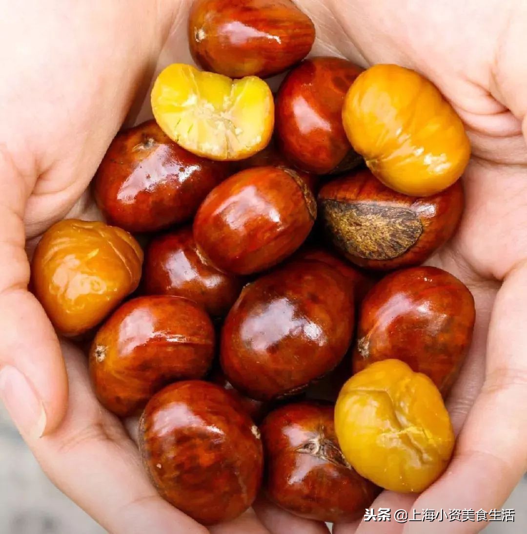 上海滩外滩攻略,上海外滩游玩攻略黑鸭子