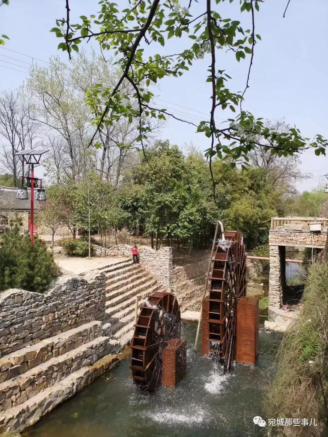 南阳老徐,河南南阳老徐最新视频