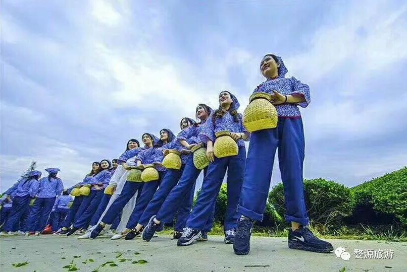 五一去婺源千古茶园,婺源茶文化旅游路线攻略