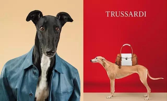 意大利的四大奢侈品牌有哪些,意大利十大奢侈品牌