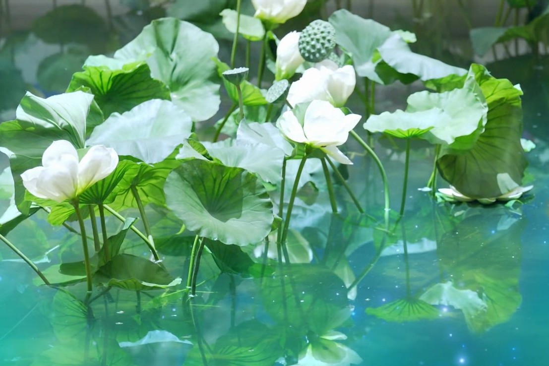 三生三世枕上书姬蘅掉入悬崖,三生三世枕上书姬衡是不是假失忆