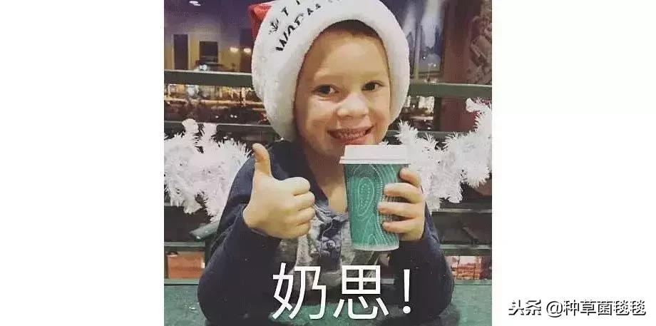 从小用到大的它,竟然成了今年爆款?