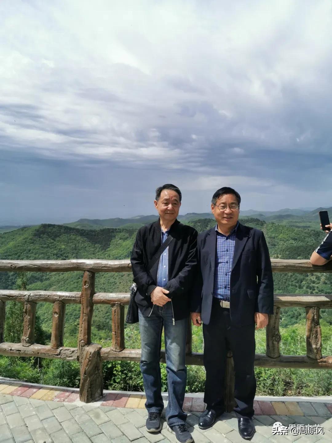 赴一场春日的邀约,五月赴一场与槐花的约会