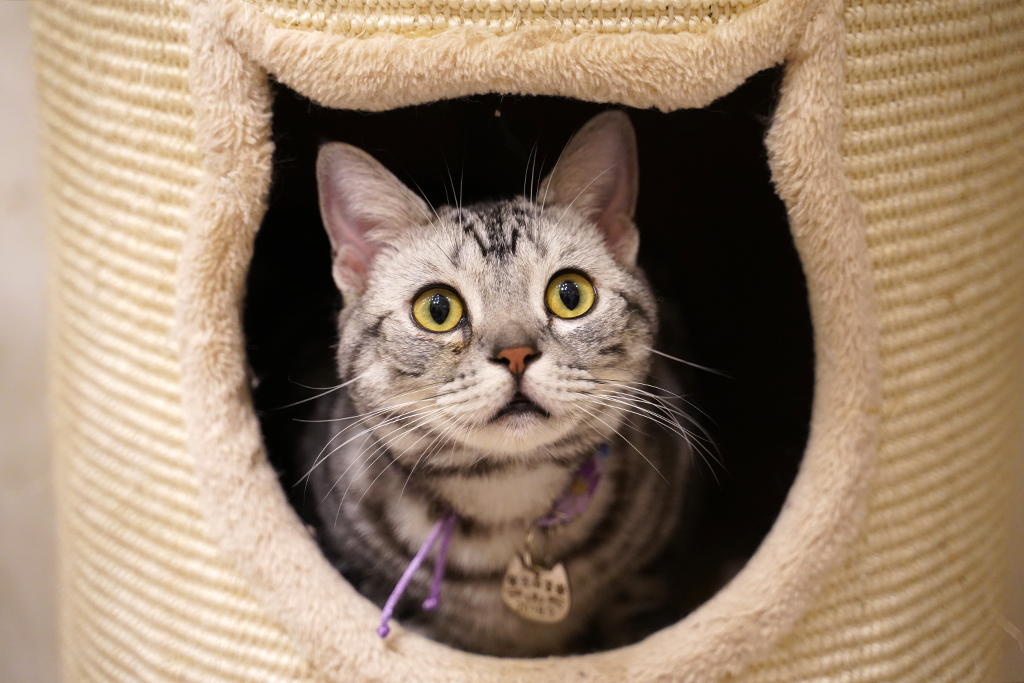 索尼a7m3提高锐度和像素,索尼微单a7m3使用技巧