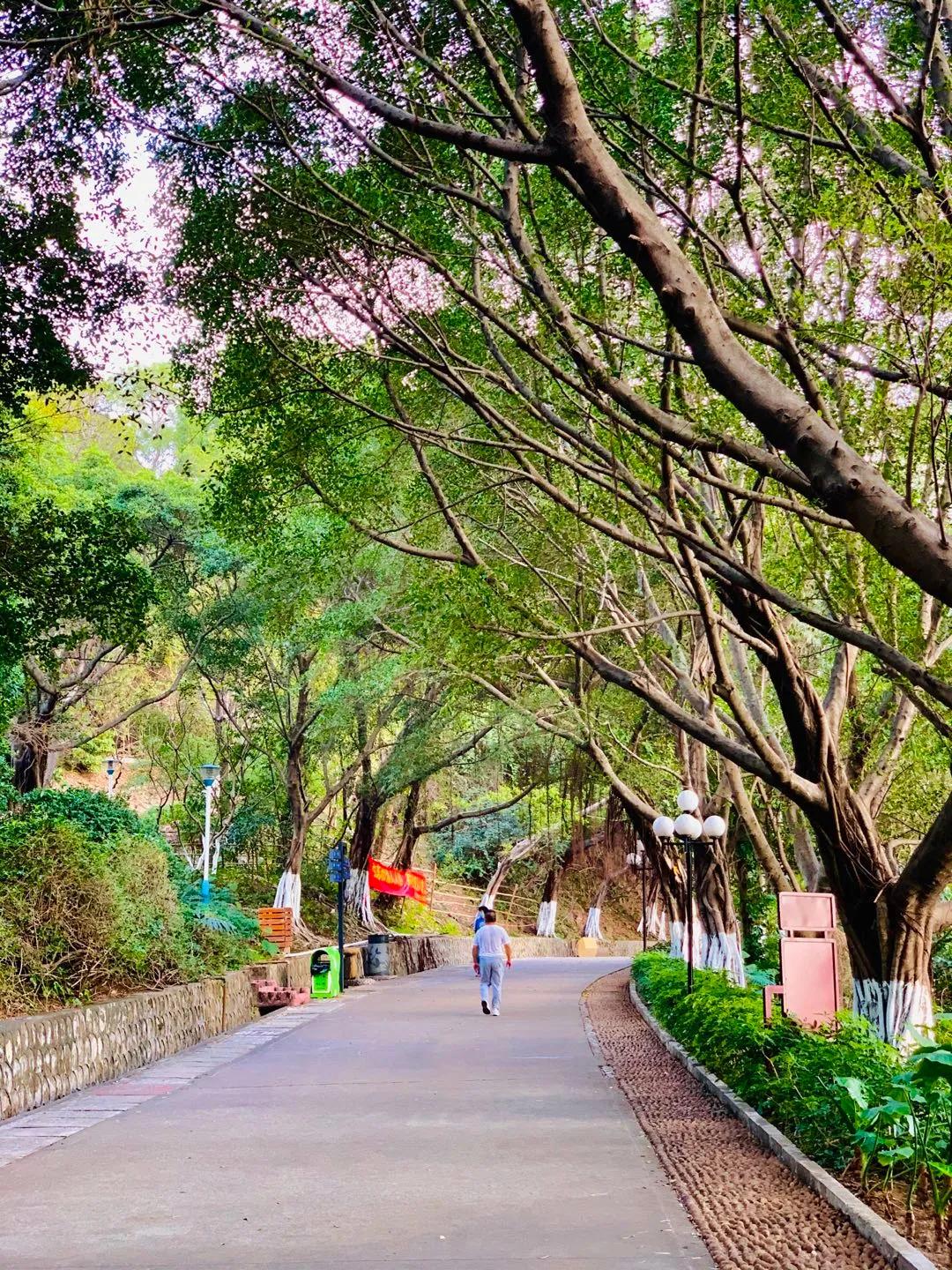 发誓疫情后要做完的30件小事，看了第一件我就打脸了