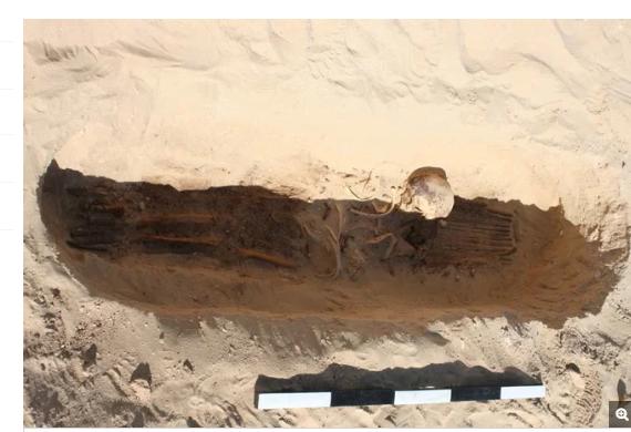 在原始埃及发现神秘头骨,古埃及发现世界四大神奇秘密