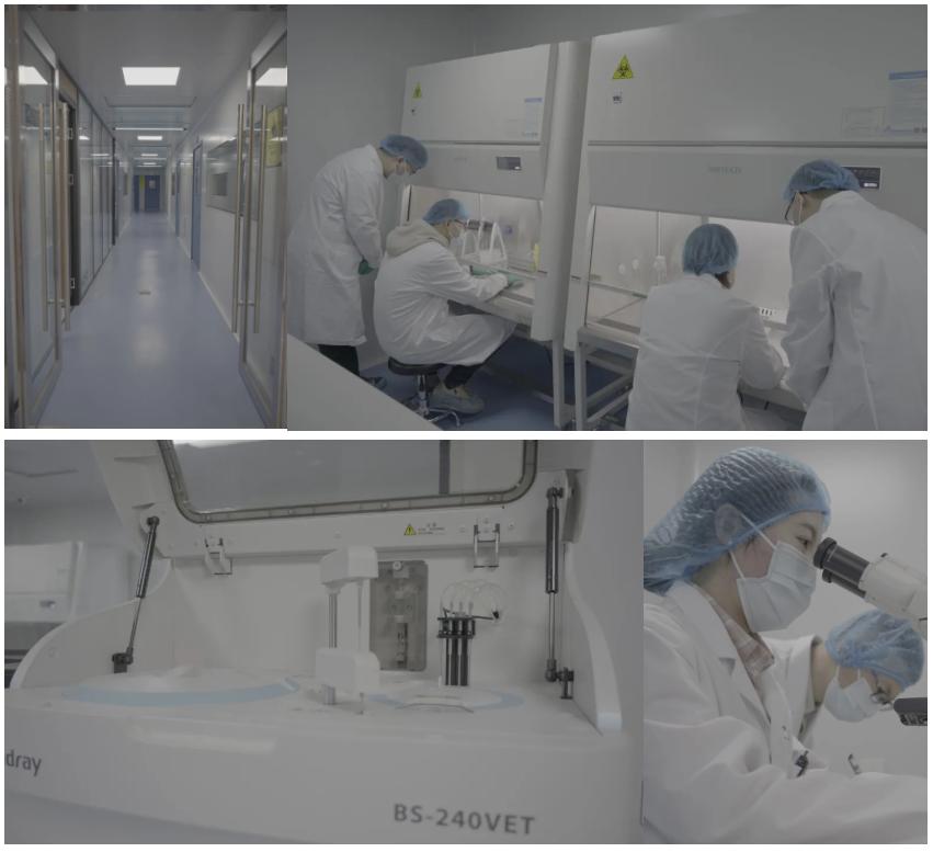 动物疫病检测国家实验室有哪家,畜牧疾病检测机构