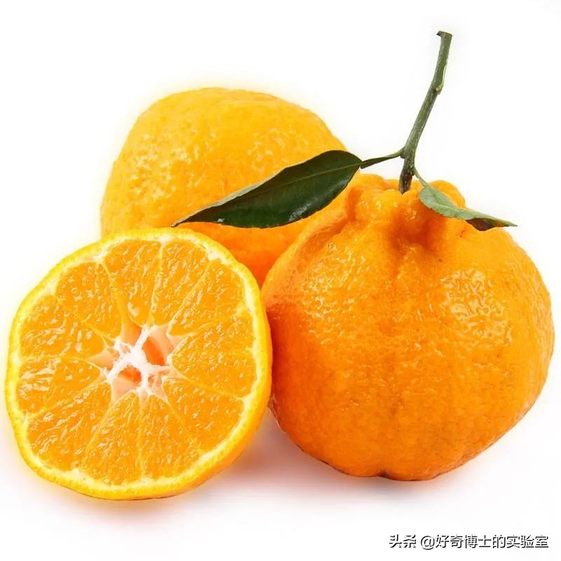 爱因斯坦的发型竟然是罕见病,爱因斯坦头发为什么总是乱糟糟的