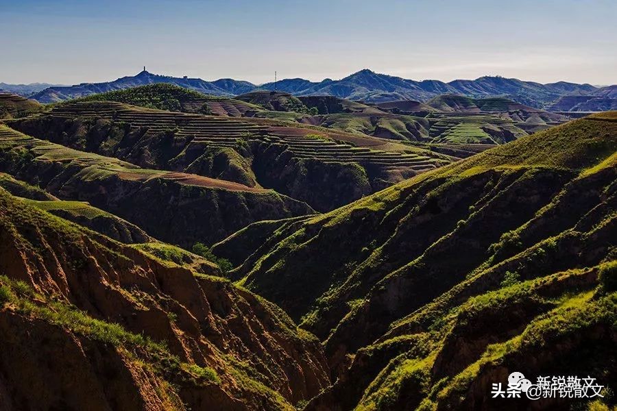 唱着歌儿走陕北：只有这块土地才能诞生这样汉子味的歌曲