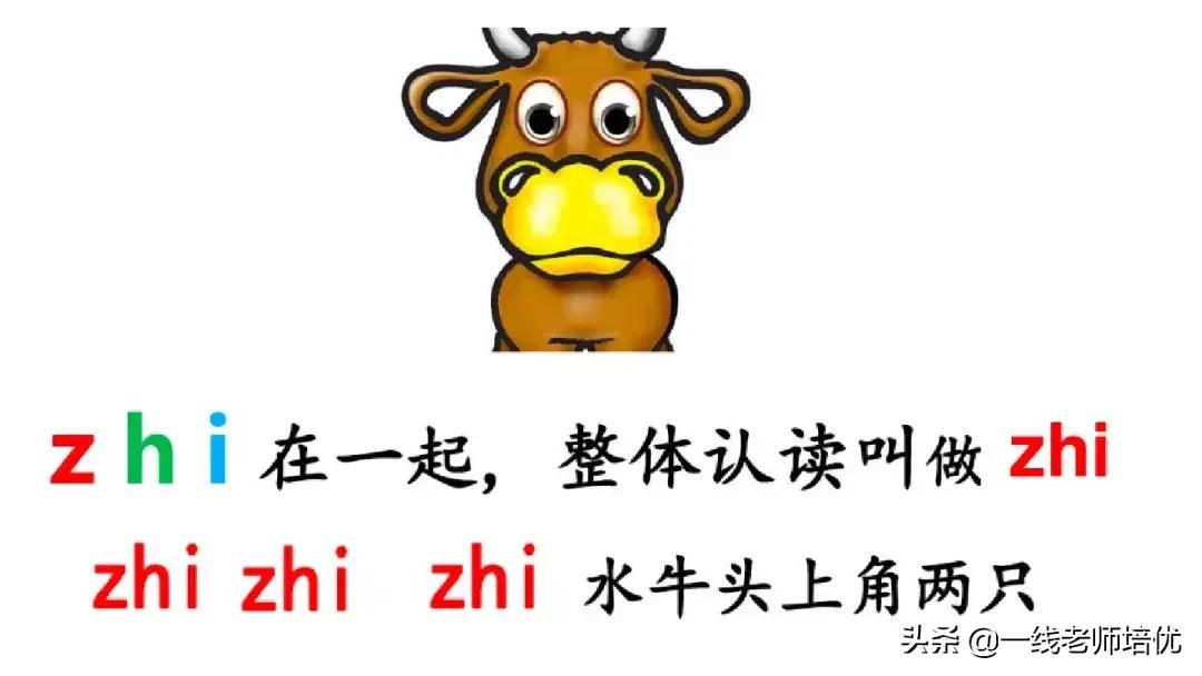 小学汉语拼音整体认读音节,小学汉语拼音整体认读音节视频