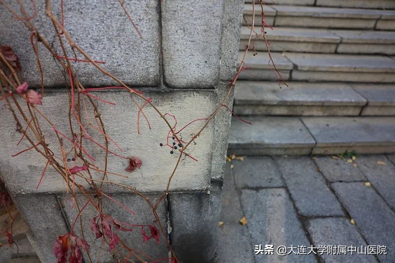 博古通今纵览,小编带你逛医院