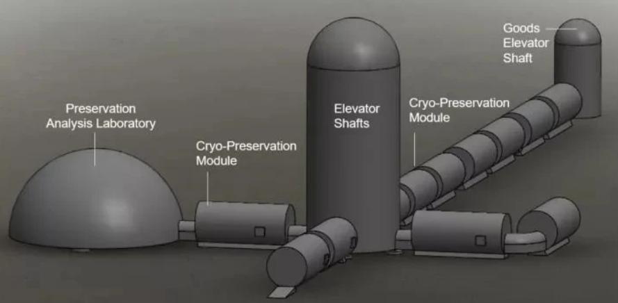 第六次灭绝来了？科学家计划送精子卵子上太空，含50个人类样本