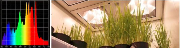 植物生长箱的应用,植物生长箱选择