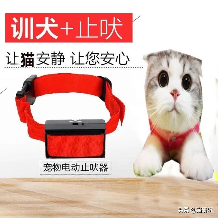 猫咪项圈对猫咪有危害吗,猫项圈给猫咪带来的危害