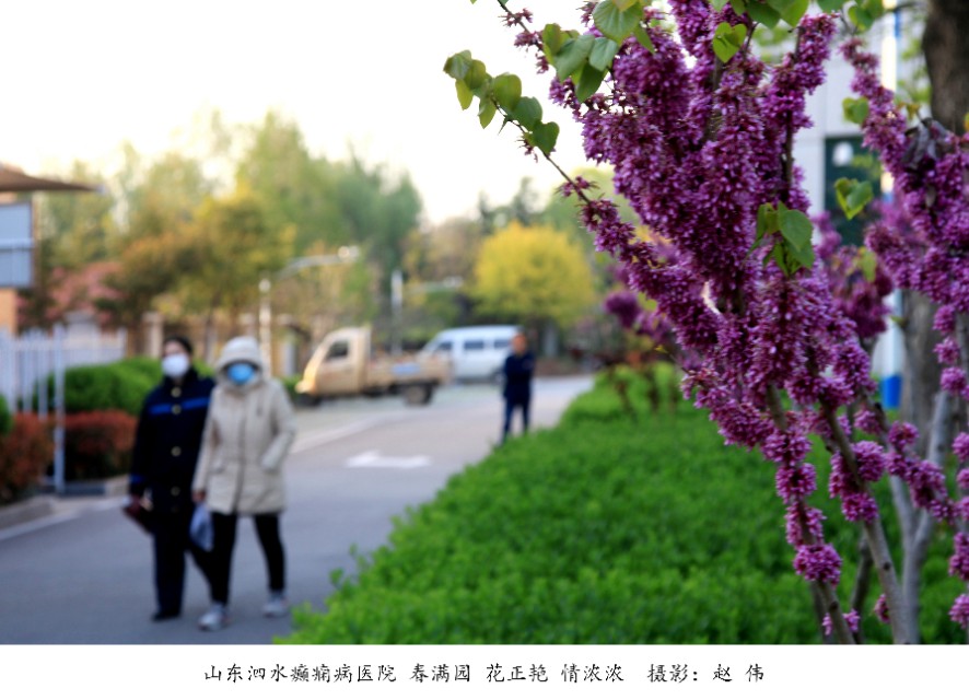 山东泗水癫痫病医院花香四季情暖人间——赵伟摄影、撰文