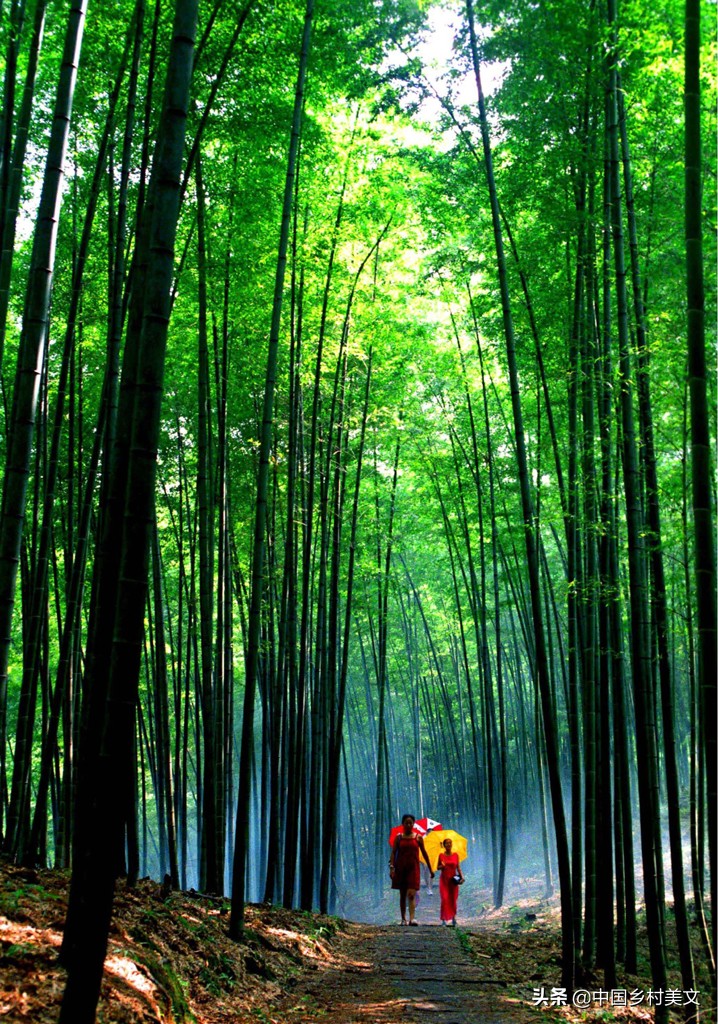 记忆中的赤水,赤水好地方