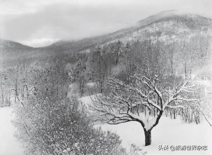 世界摄影师之父,斯蒂格利茨为什么是现代摄影之父