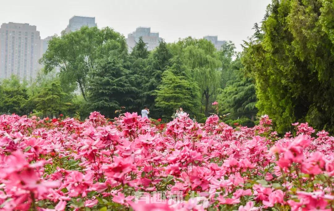 郑州地铁5号线沿线美景,郑州地铁5号线景点适合3月打卡地