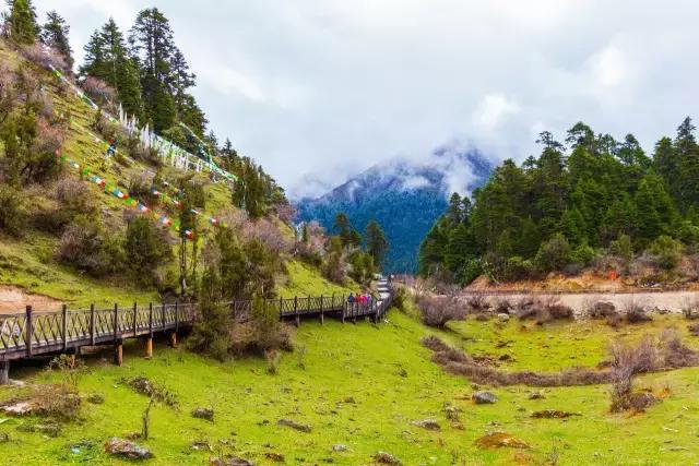 林芝十一月攻略,十月份林芝自驾旅游攻略
