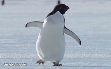 孕妇企鹅步锻炼,孕期蹲跨练习