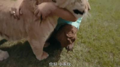 疫情中全美国都在安利这疯子电影