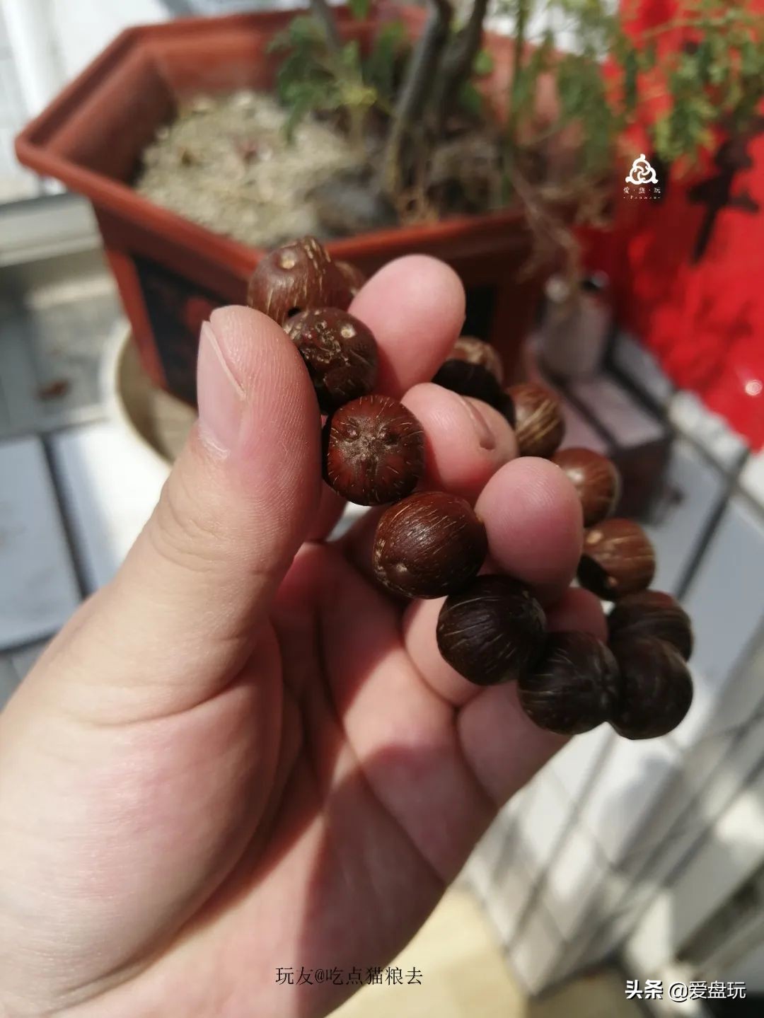 什么叫穷玩？手串超过300块，算我输！