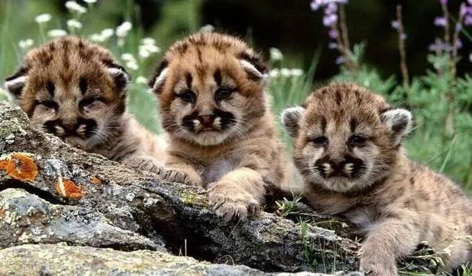 上海玩耍攻略,上海旅游景点交通攻略图