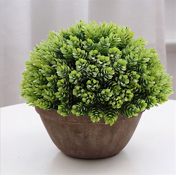 纸浆花盆价格,台州纸浆模塑花盆