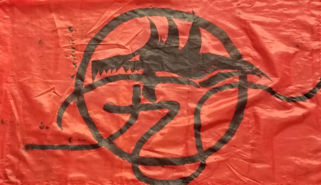 渭南初级中学:逆天了!这些队旗都是学生设计的