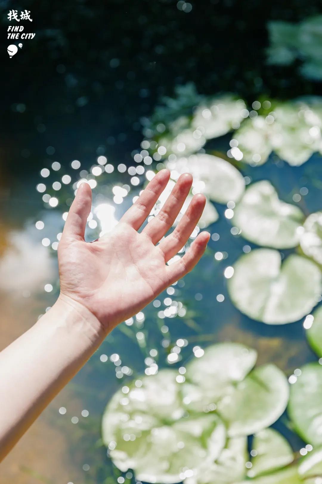 南宁人去隆安玩,南宁人去柳州玩