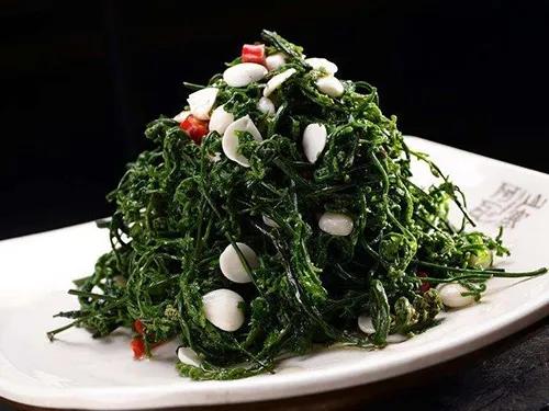 谷雨节气养生问候信息,谷雨节气养生知识大全最新版