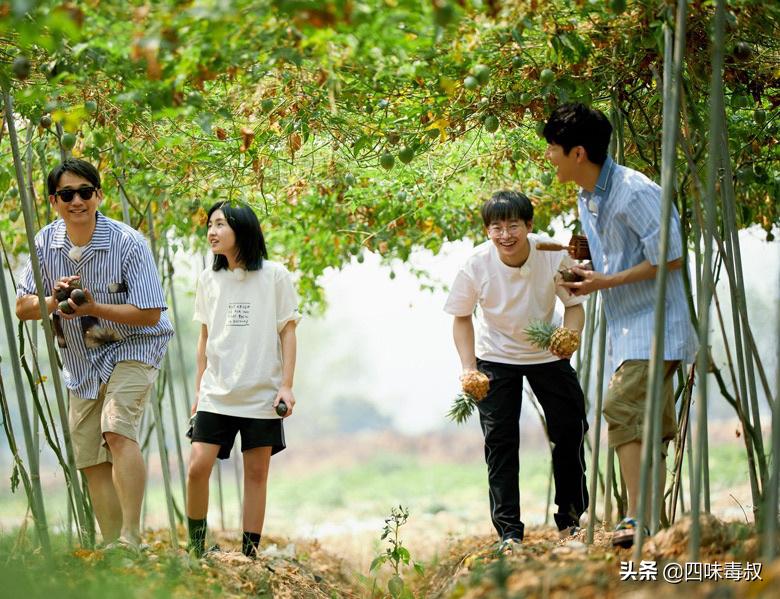 向前看向钱看全文,向前看向钱看完整视频