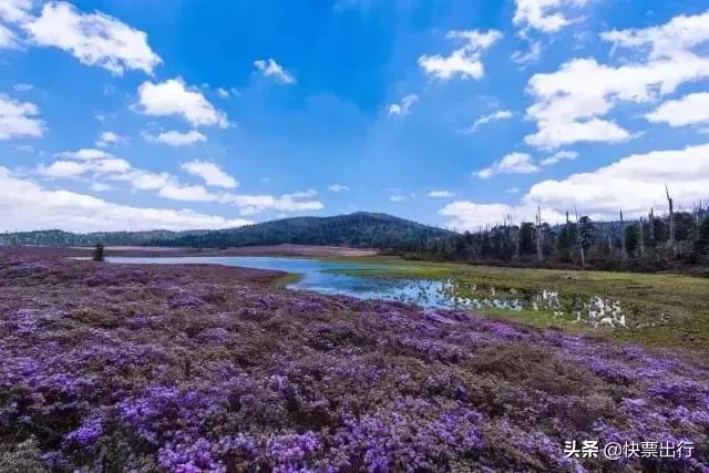 云南十大红色旅游景点都有哪些,云南西双版纳有哪些景点值得去玩