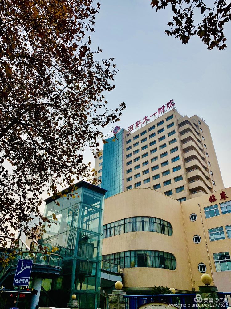 手机拍洛阳,涧西牡丹广场老照片