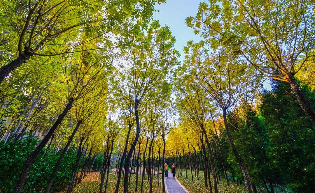 济南赏秋,秋天济南去哪里赏秋最好