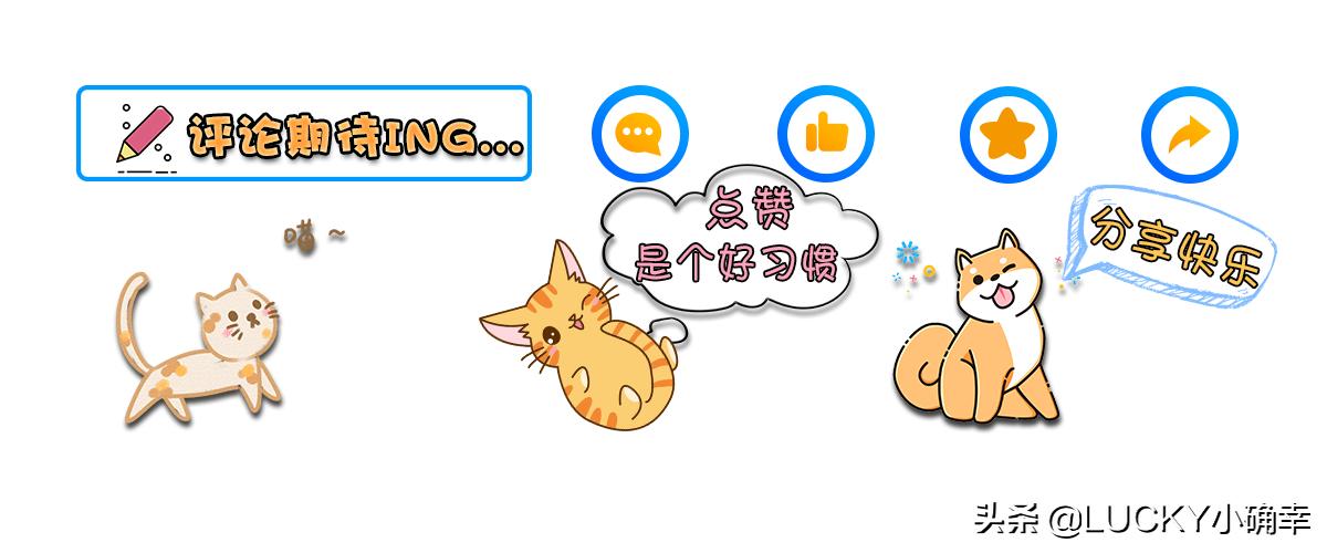 养猫猫毛满天飞有方便的办法吗,养猫总掉毛用啥办法能去除猫毛