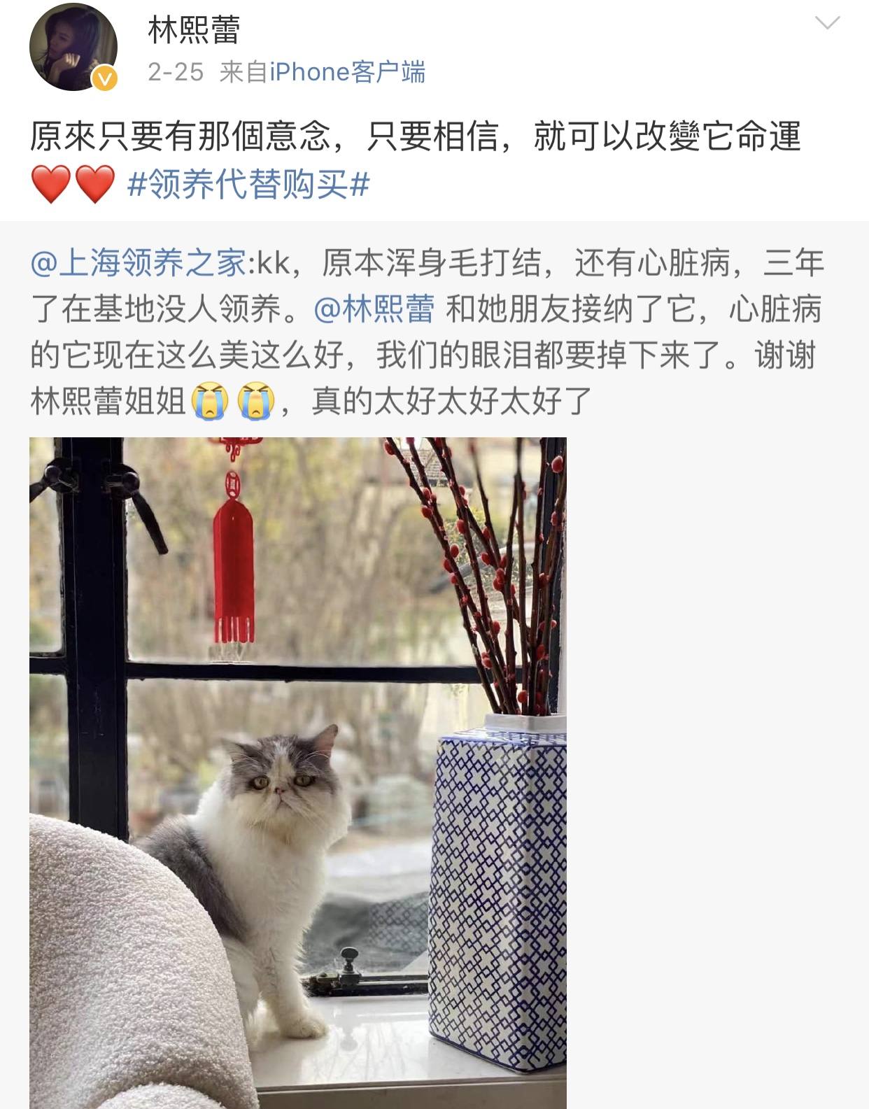 朱孝天与林熙蕾被狗仔队曝光,朱孝天与梁泳琪