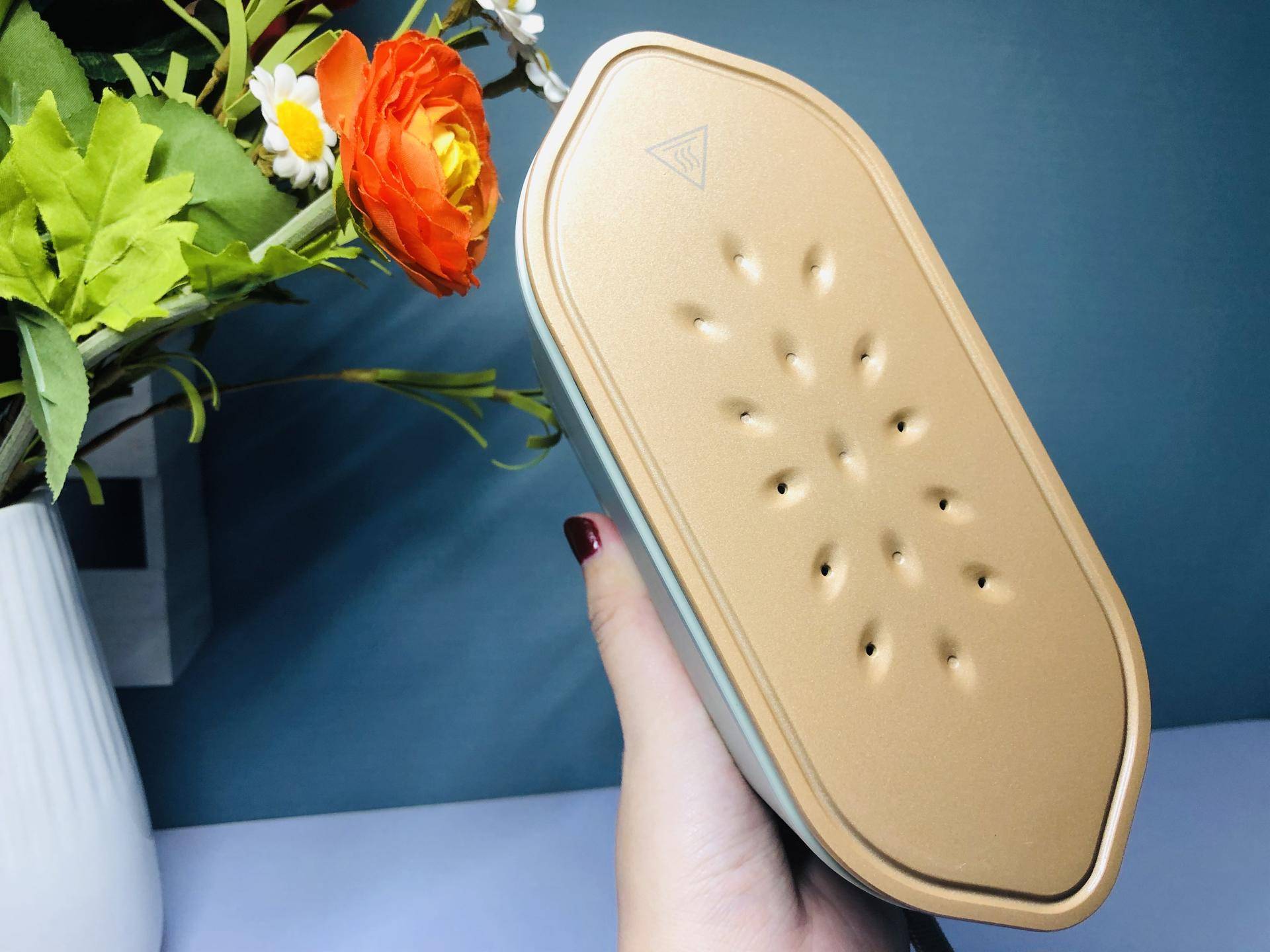 李佳琦推荐的大宇熨烫机,大宇熨烫机李佳琦卖多少钱