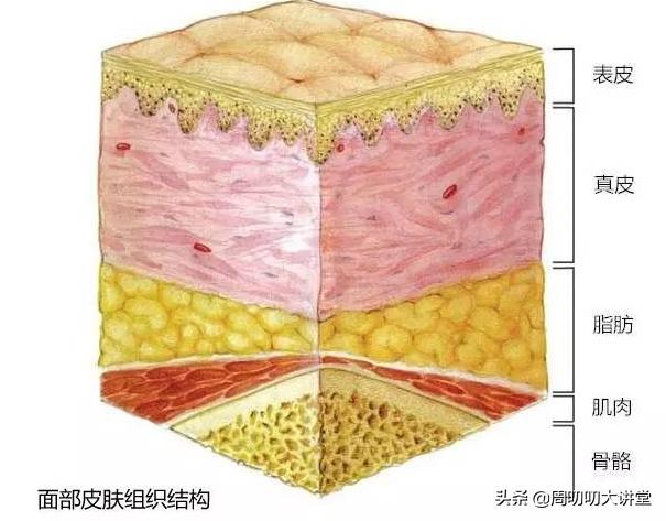早期凹陷疤痕怎么修复,早期疤痕激光干预能改善多少