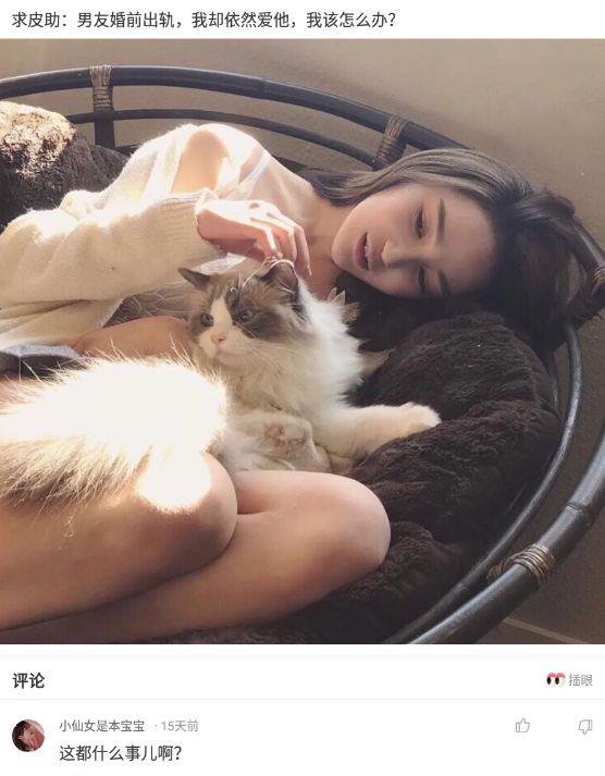 如果我烧了神社,如果我火烧靖国神社该怎么办