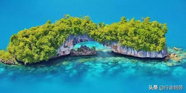 中国在帕劳的投资,帕劳投资顾问