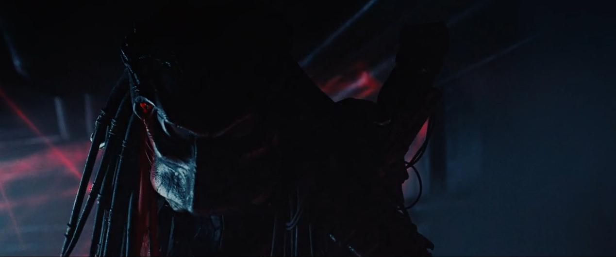 铁血战士系列解析,铁血战士形态全部解析