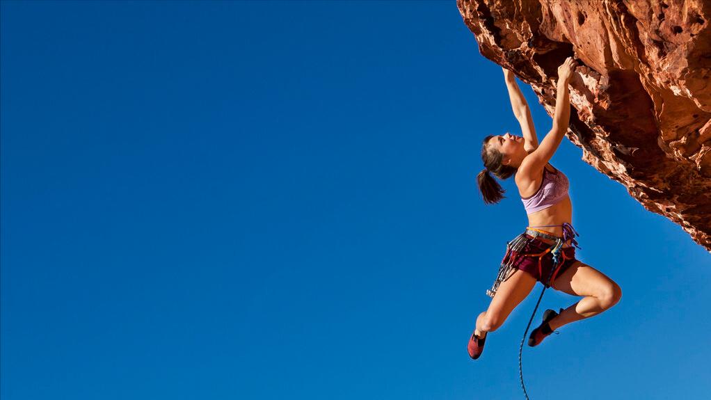 职业生涯规划书的引言怎么写,大学生职业生涯规划职业认知